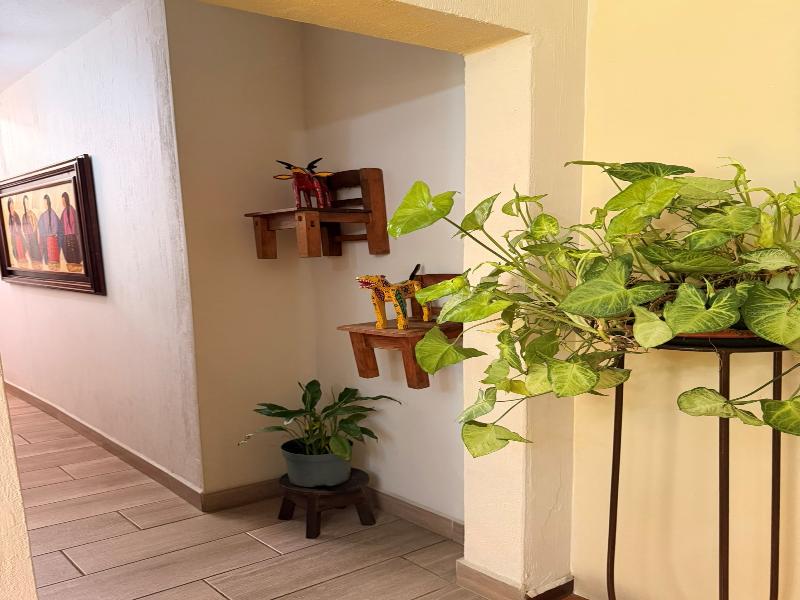 Hostal Donde Regina image