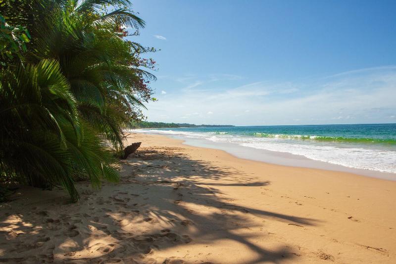 La Coralina Island House image