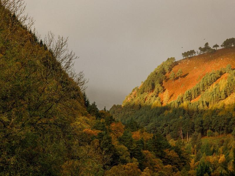 The Glendalough