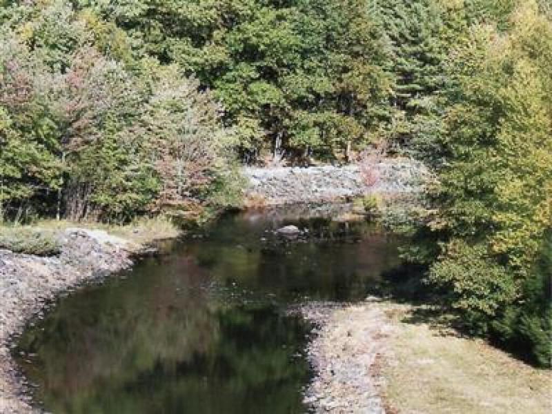 Sturbridge Country Inn image