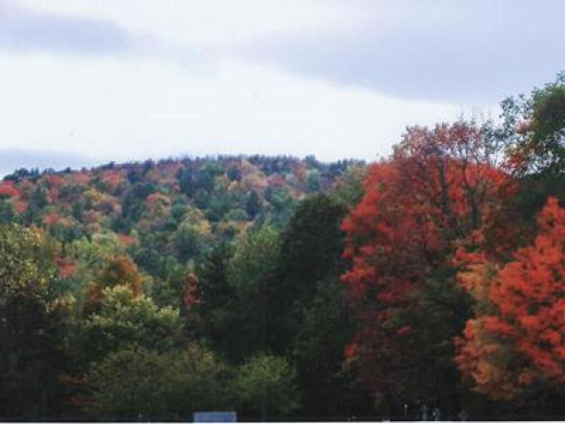 Sturbridge Country Inn image