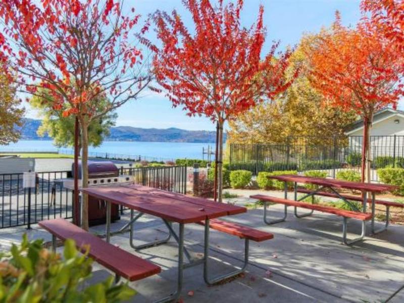 Clear Lake Cottages & Marina image