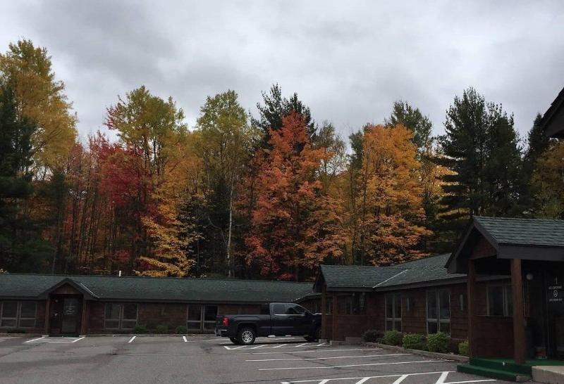 Cedar Motor Inn image
