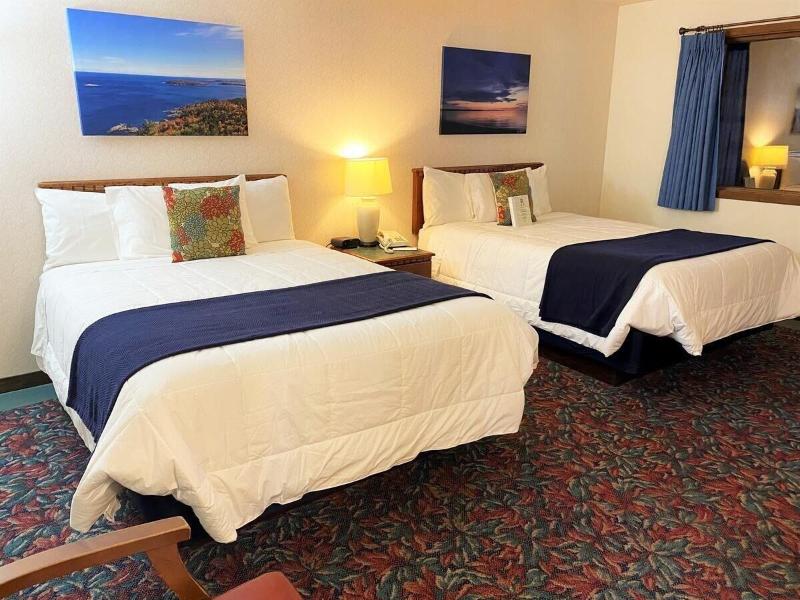 Cedar Motor Inn image