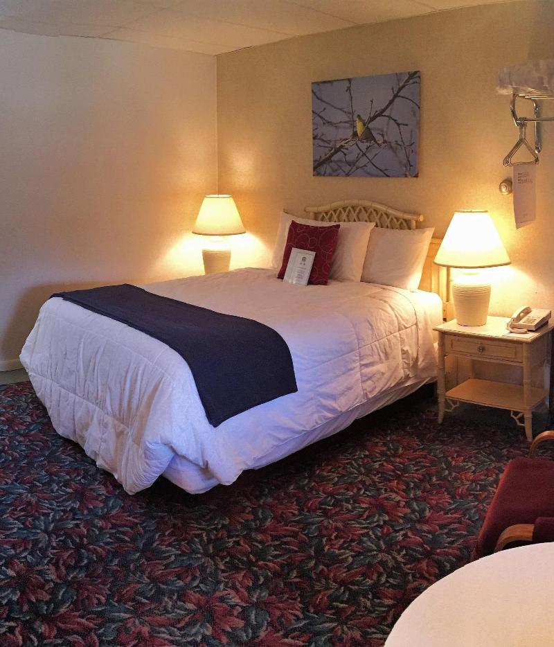 Cedar Motor Inn image