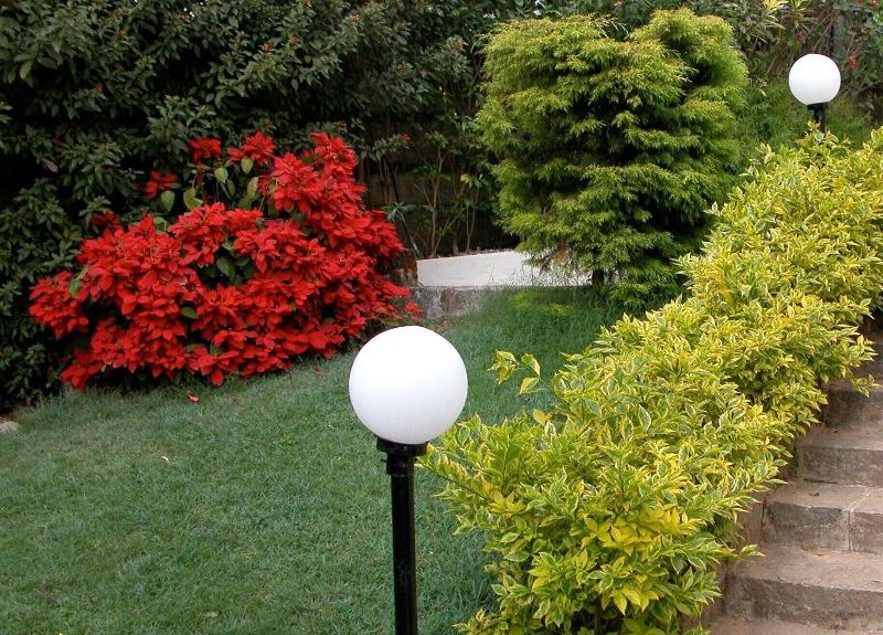 Hotel Coorg International image