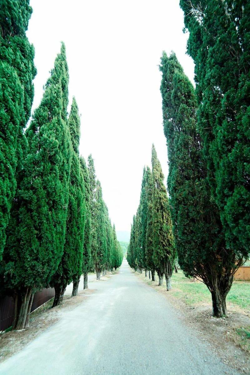 Agriturismo La Cerra image