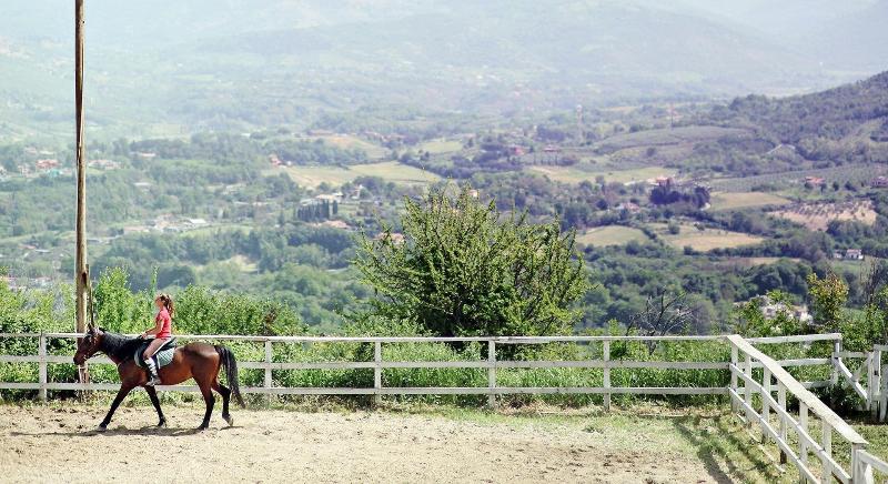 Agriturismo La Cerra image