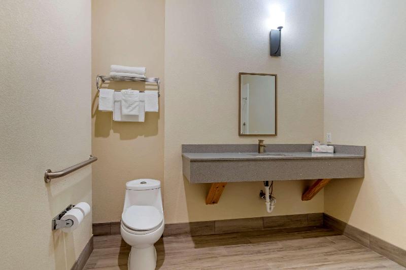 Quality Inn & Suites Elgin image