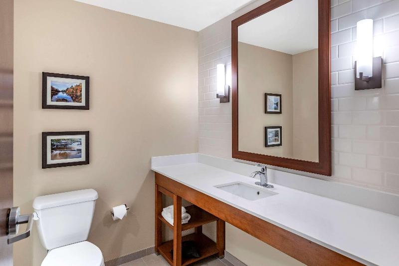 Comfort Inn & Suites -Clarkston image