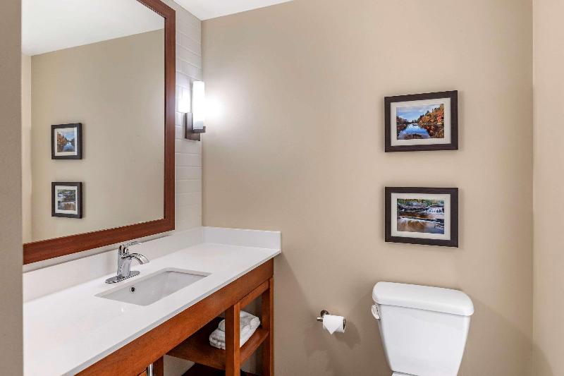 Comfort Inn & Suites -Clarkston image