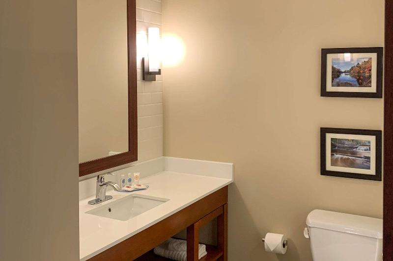 Comfort Inn & Suites -Clarkston image