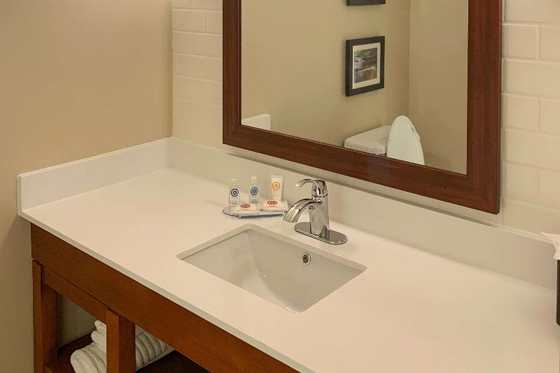 Comfort Inn & Suites -Clarkston image