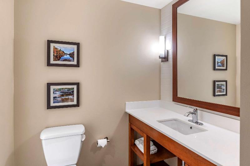 Comfort Inn & Suites -Clarkston image