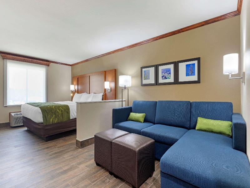 Comfort Suites West Monroe near Ike Hamilton E.C image
