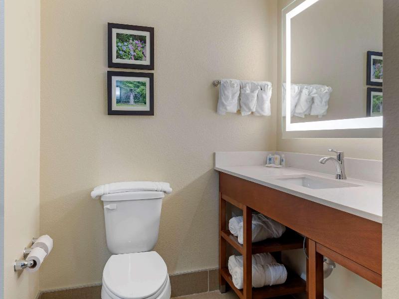 Comfort Suites West Monroe near Ike Hamilton E.C image