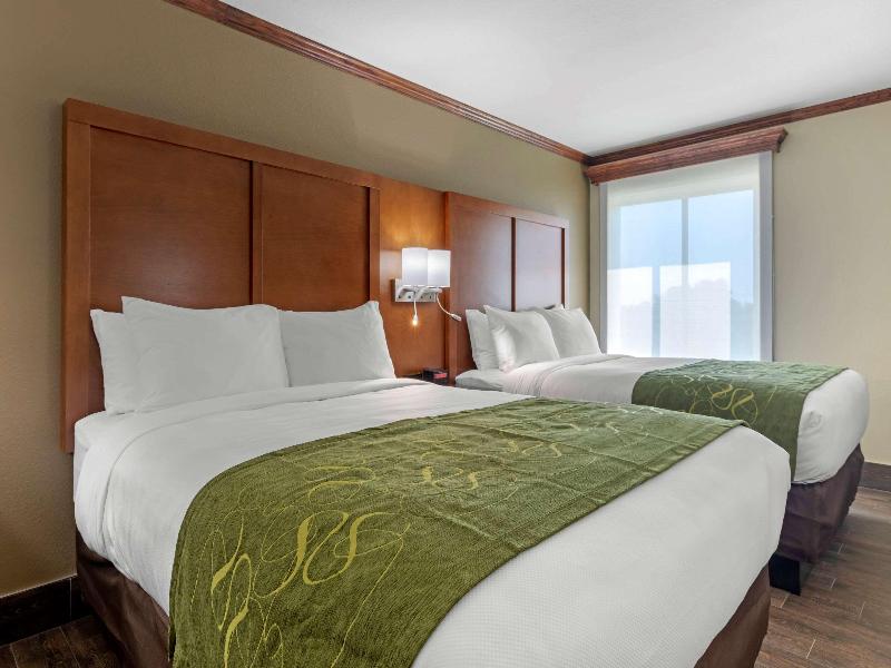Comfort Suites West Monroe near Ike Hamilton E.C image