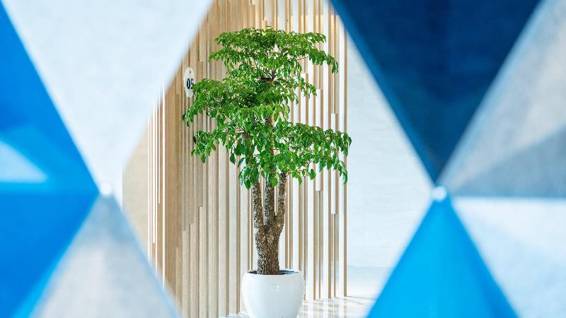 Holiday Inn Express Yangjiang City Center image