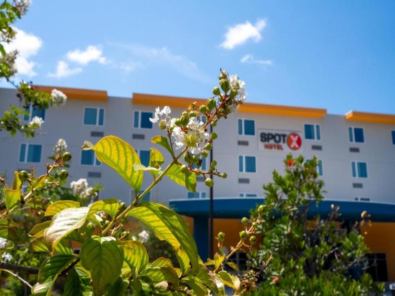 Spot X Hotel Orlando/Intl Dr By The Red Collection image