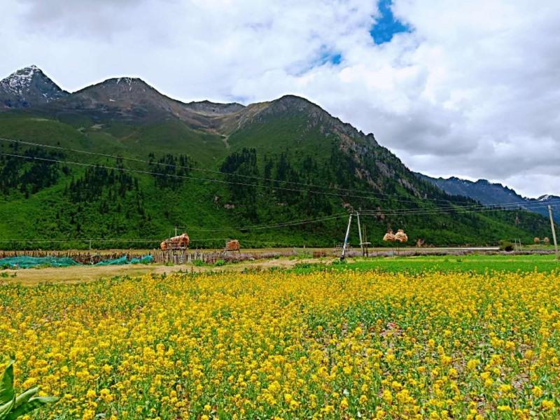 Greentree Inn Changdu Basu Ranwu Lake Spot Express