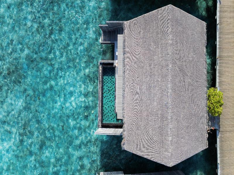 Hilton Maldives Amingiri Resort & Spa image