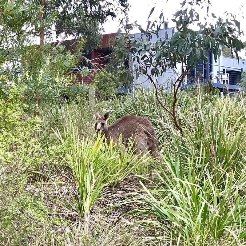 Chatby Lane Lorne — photo 4