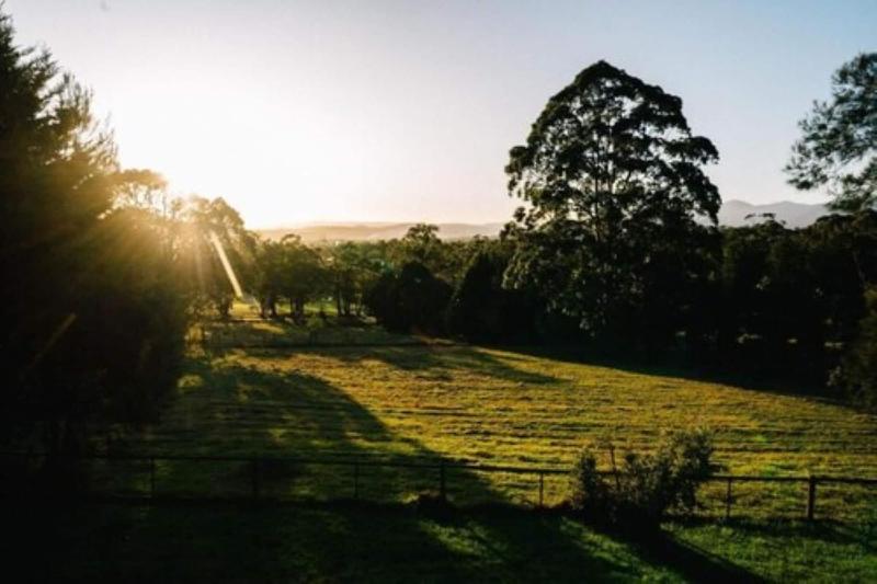 Deville at Healesville — photo 4