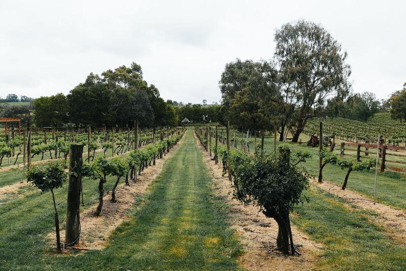 Glen Erin At Lancefield - Vineyard Retreat image