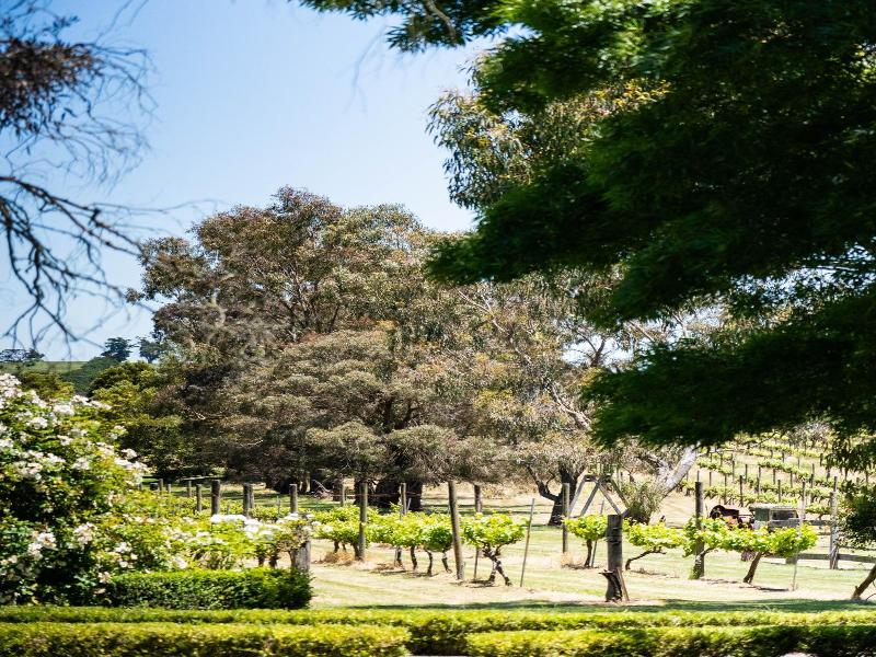 Glen Erin At Lancefield - Vineyard Retreat image