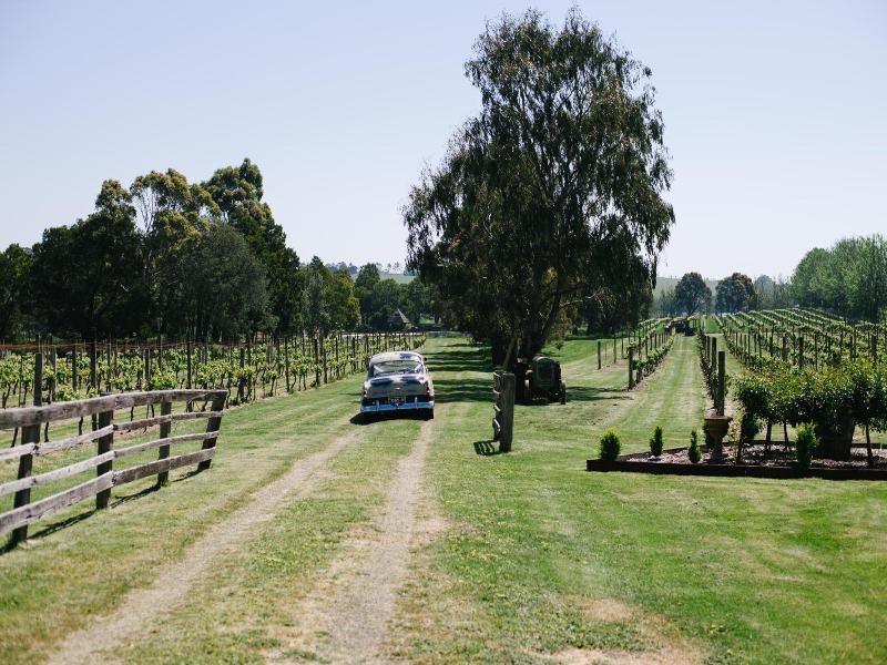 Glen Erin At Lancefield - Vineyard Retreat image