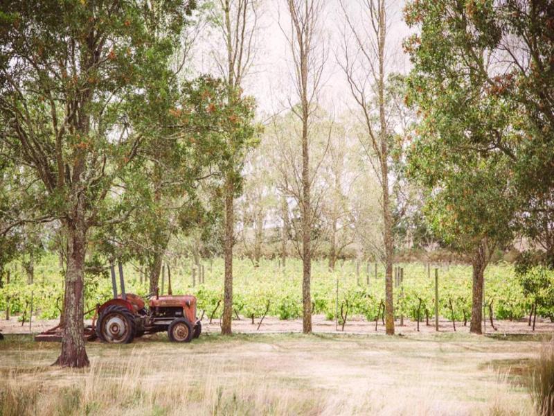 Glen Erin At Lancefield - Vineyard Retreat image