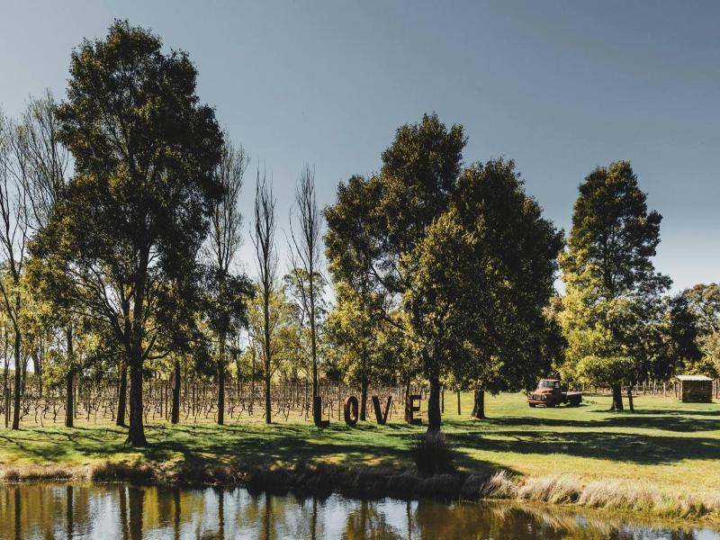 Glen Erin At Lancefield - Vineyard Retreat image