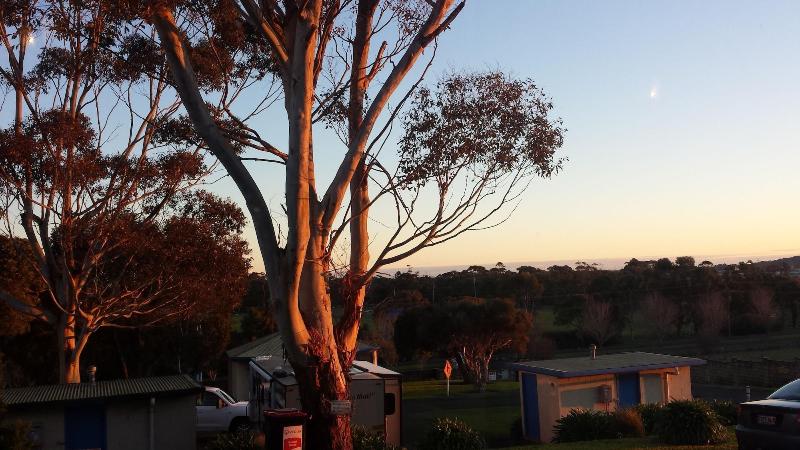 Limestone Coast Tourist Park
