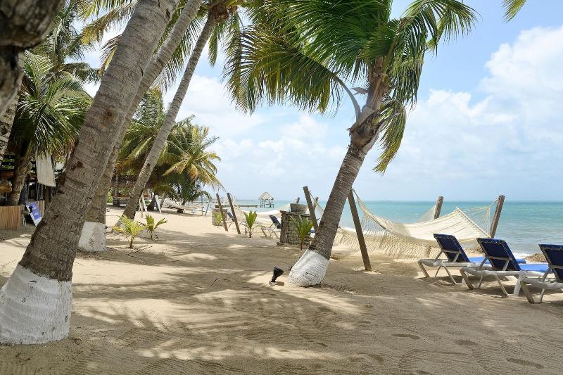 Parrot Cove Lodge image