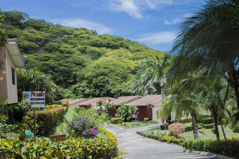 Bahia Pez Vela Resort image