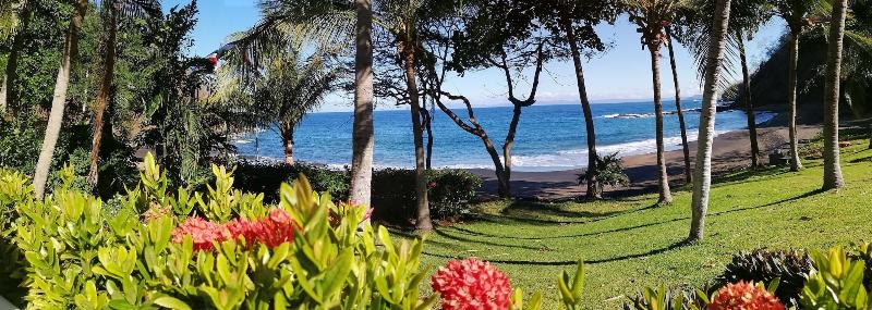 Bahia Pez Vela Resort image
