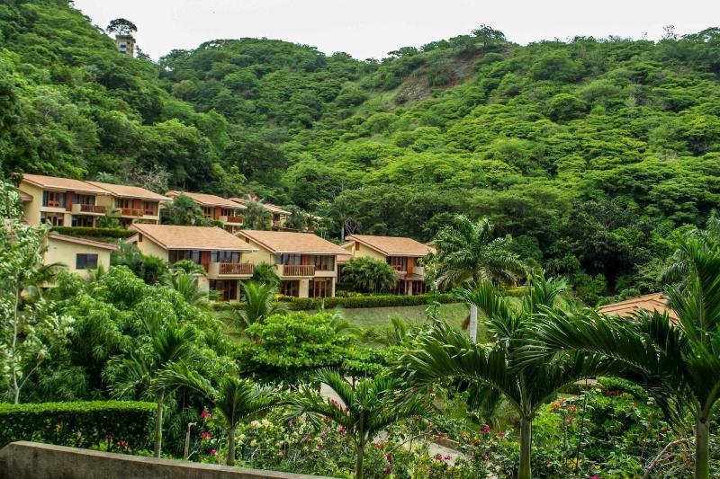 Bahia Pez Vela Resort image