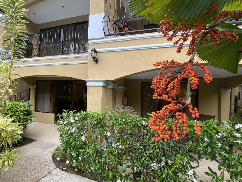 Bahia Pez Vela Resort image