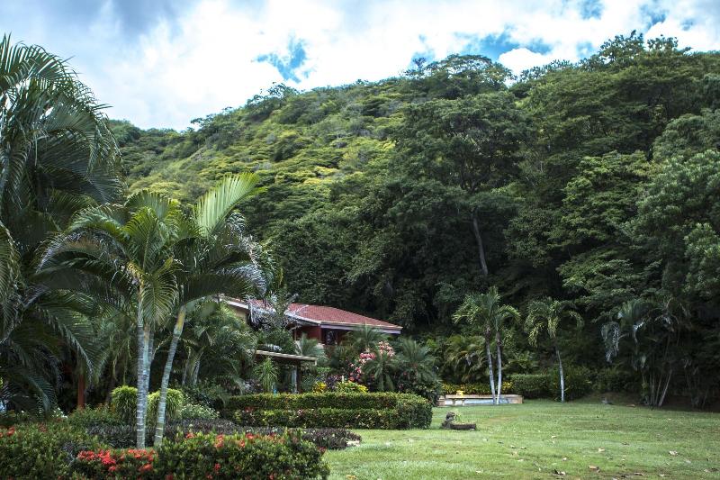 Bahia Pez Vela Resort image