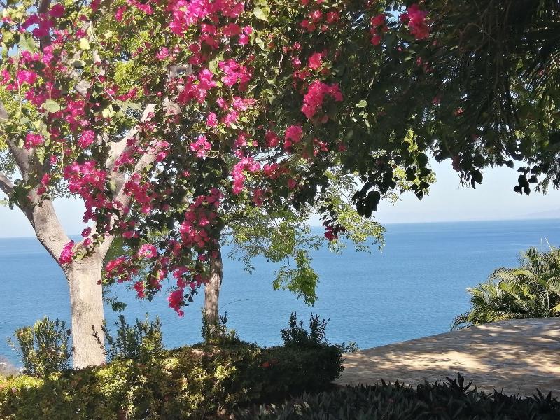Bahia Pez Vela Resort image