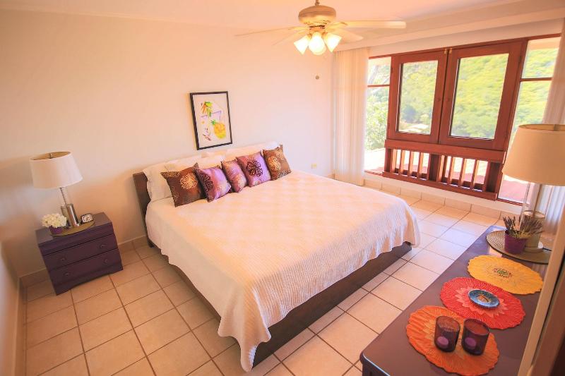 Bahia Pez Vela Resort image
