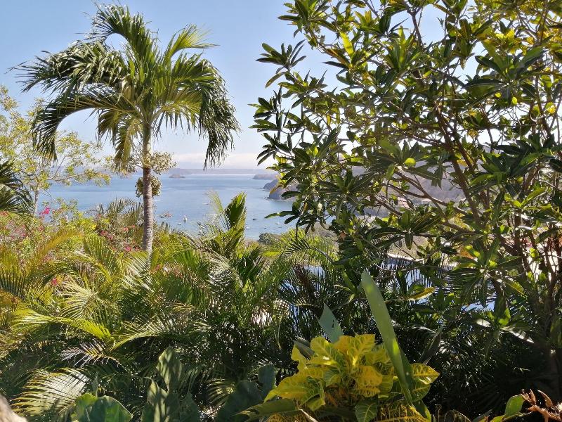 Bahia Pez Vela Resort image