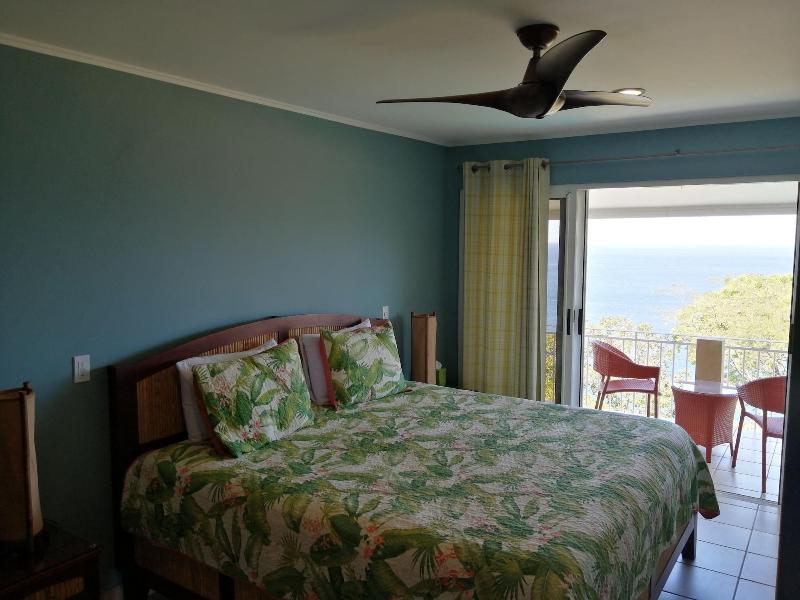 Bahia Pez Vela Resort image