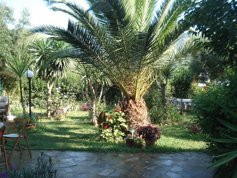 Villa Avra — general view