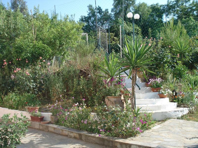 Villa Avra image