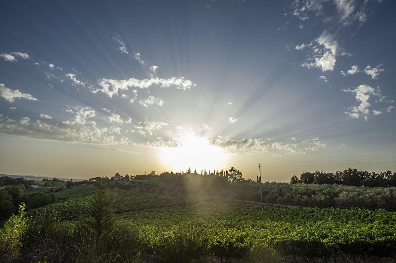 Tenuta Moriano image