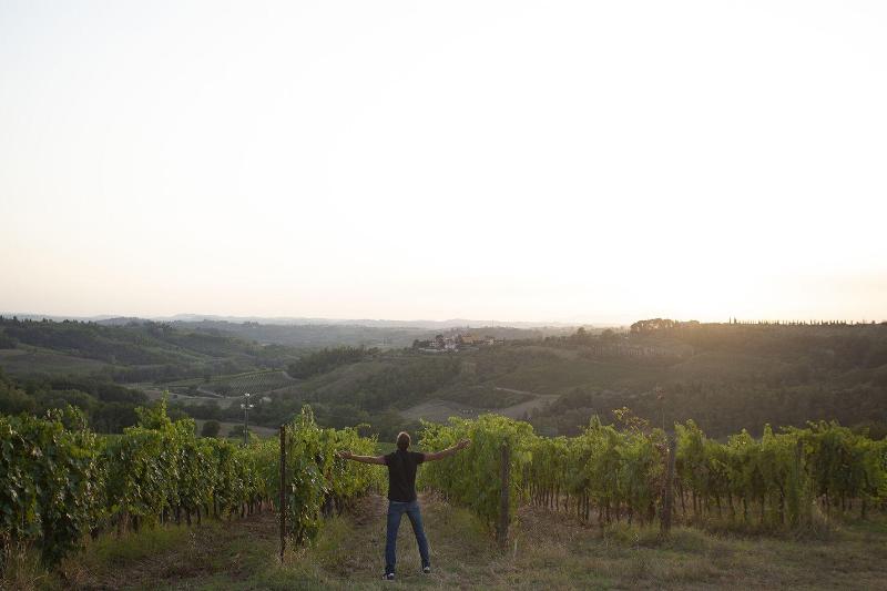 Tenuta Moriano image