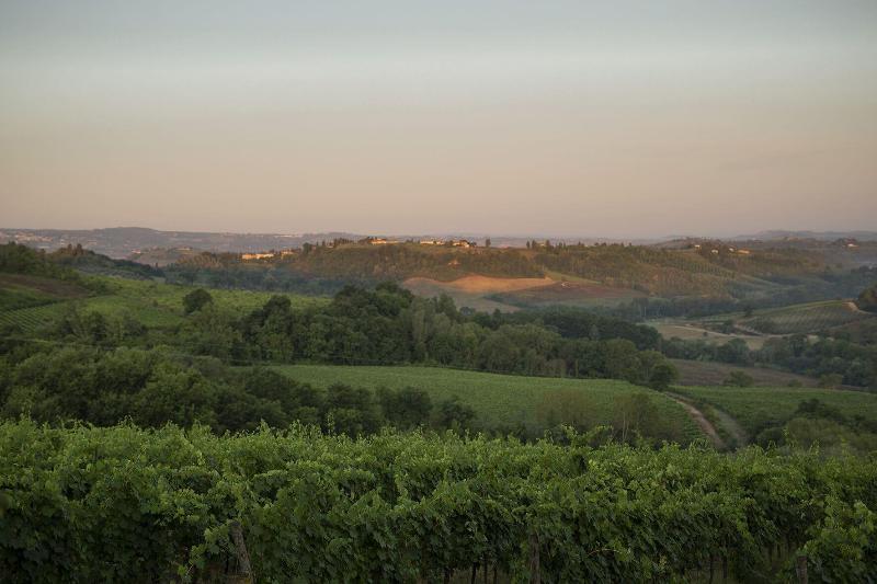 Tenuta Moriano image