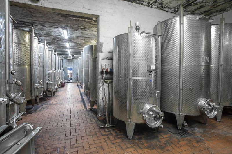 Tenuta Moriano image