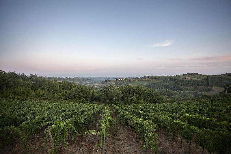 Tenuta Moriano image